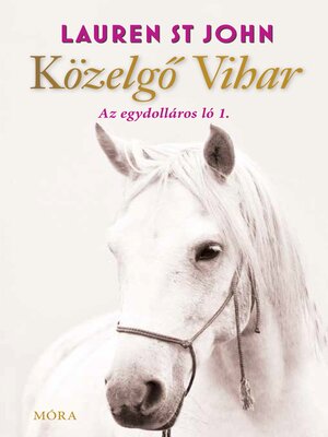 cover image of Közelgő vihar--Az egydolláros ló 1.